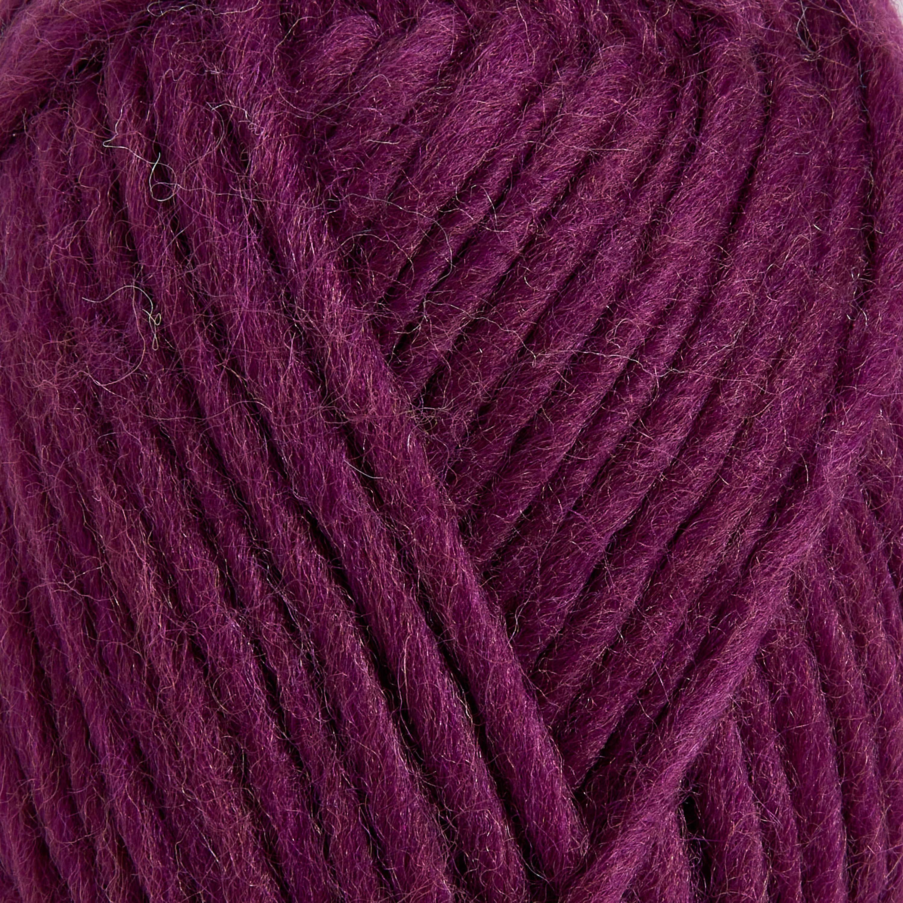color-FW21