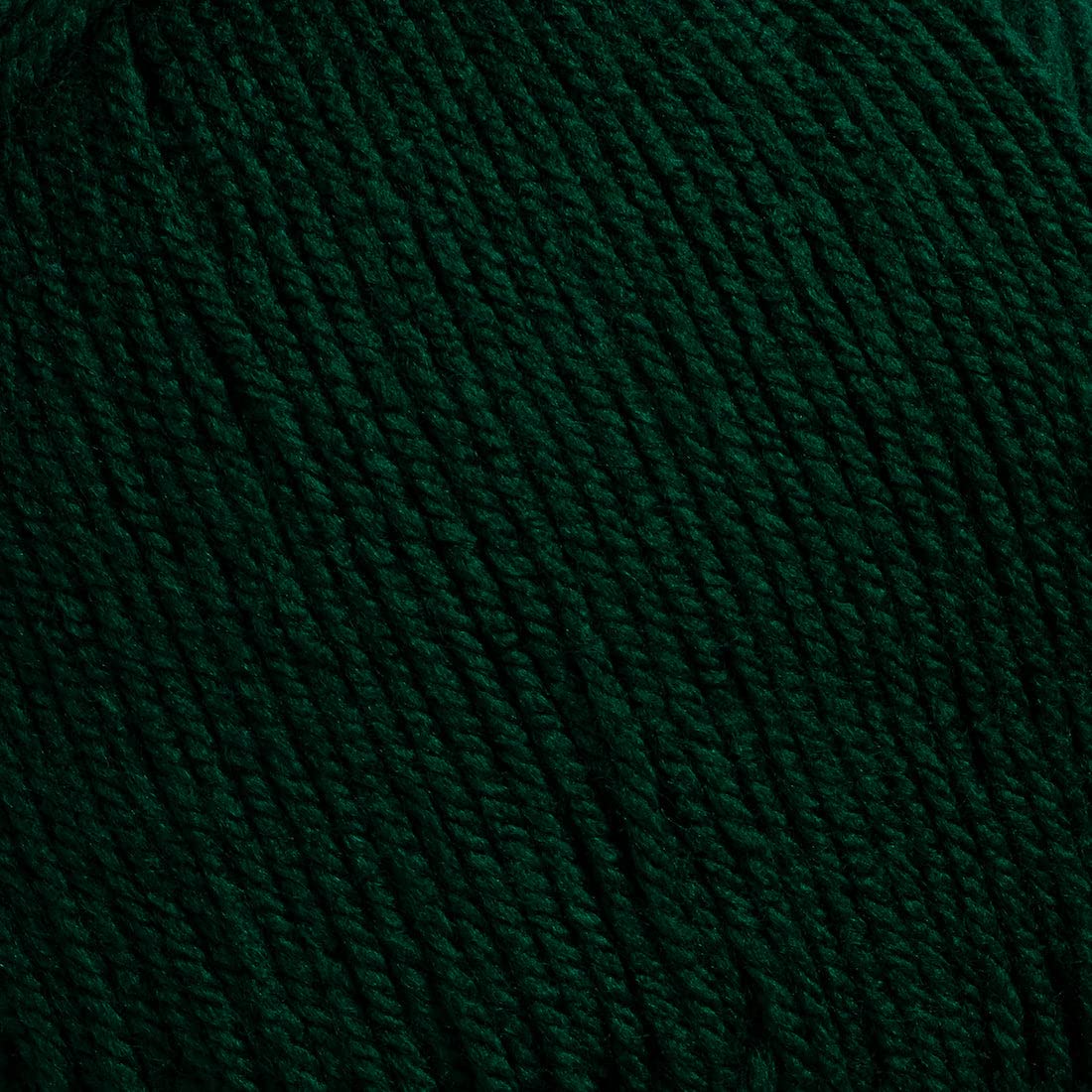 color-Midnight Moss