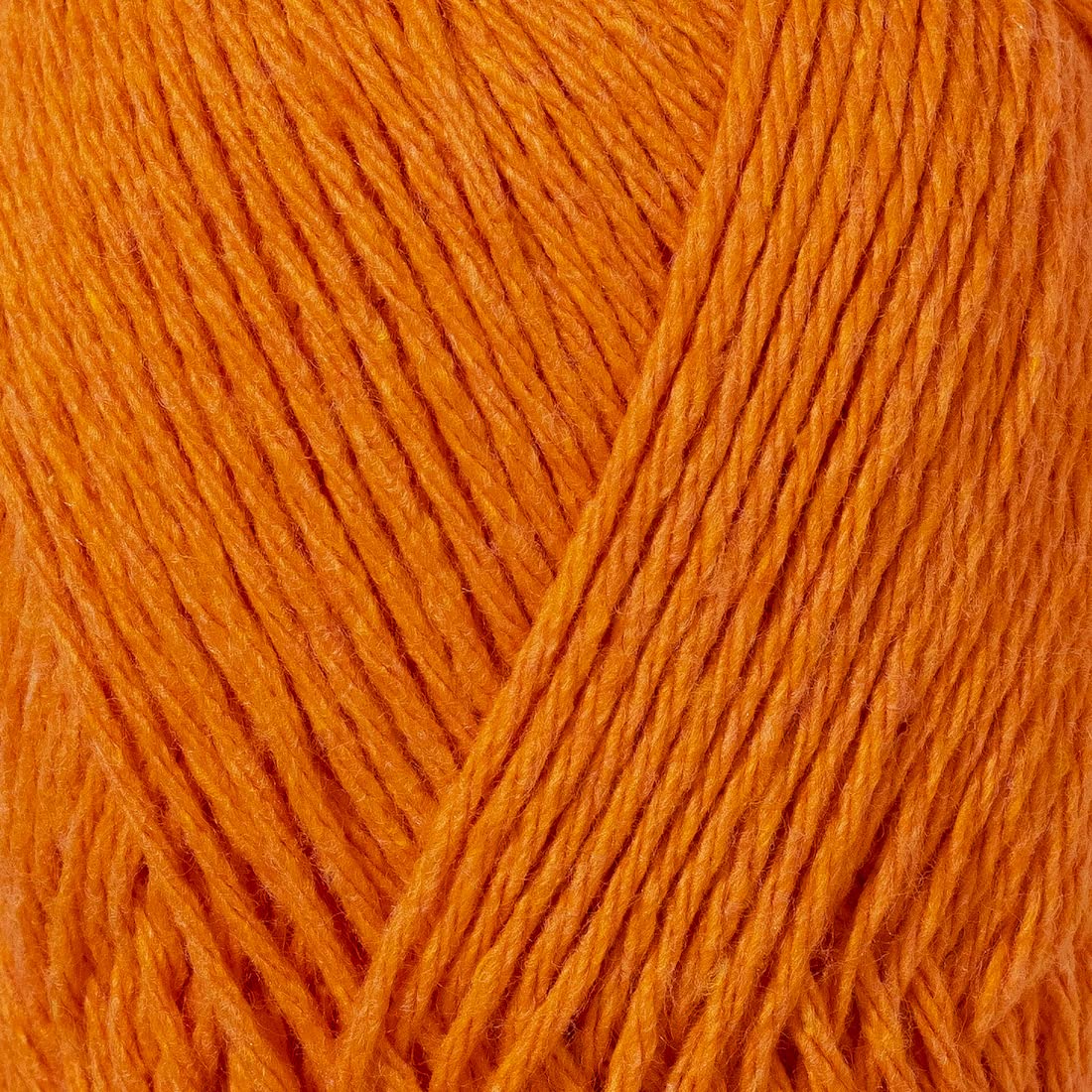color-Pumpkin Orange