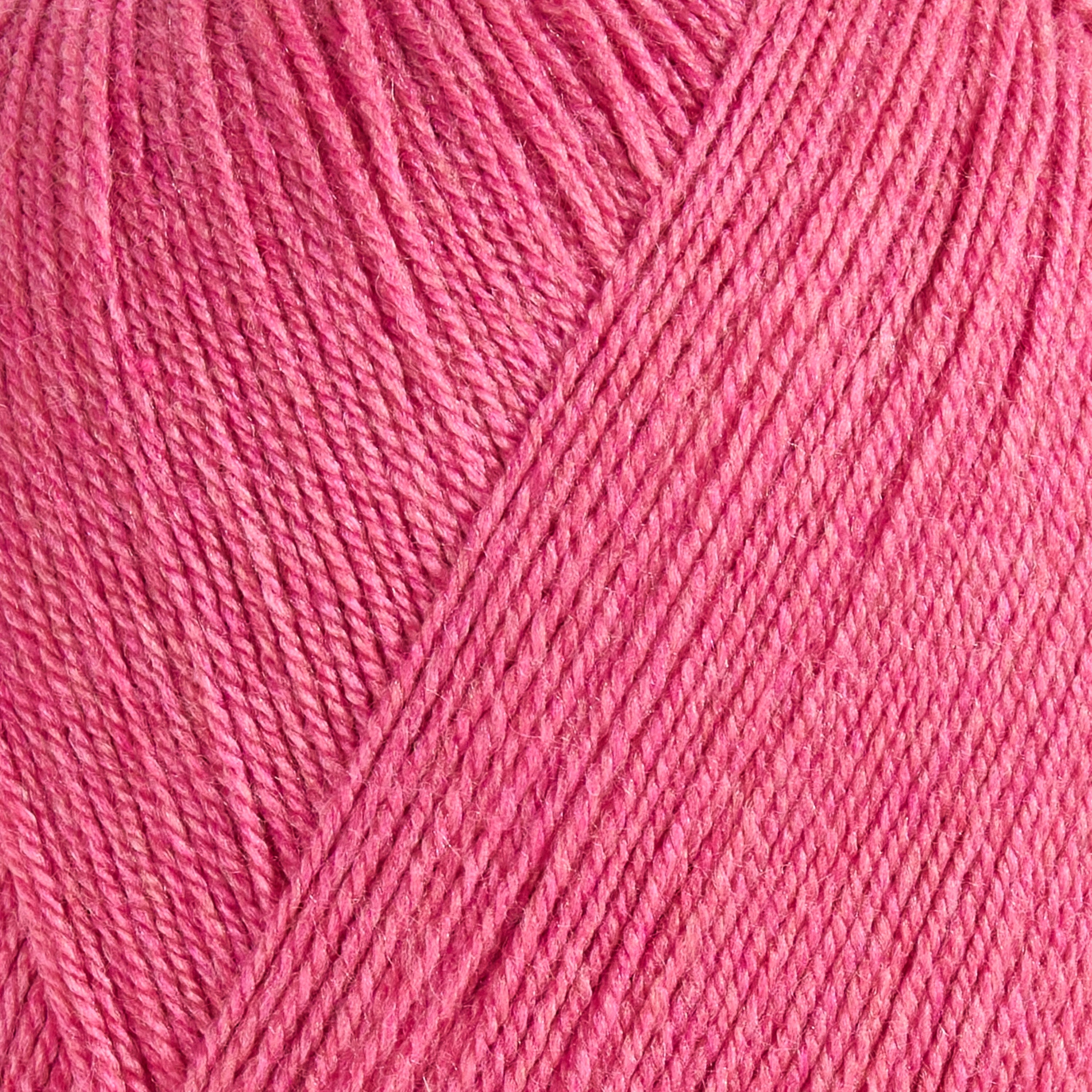 color-rose-pink