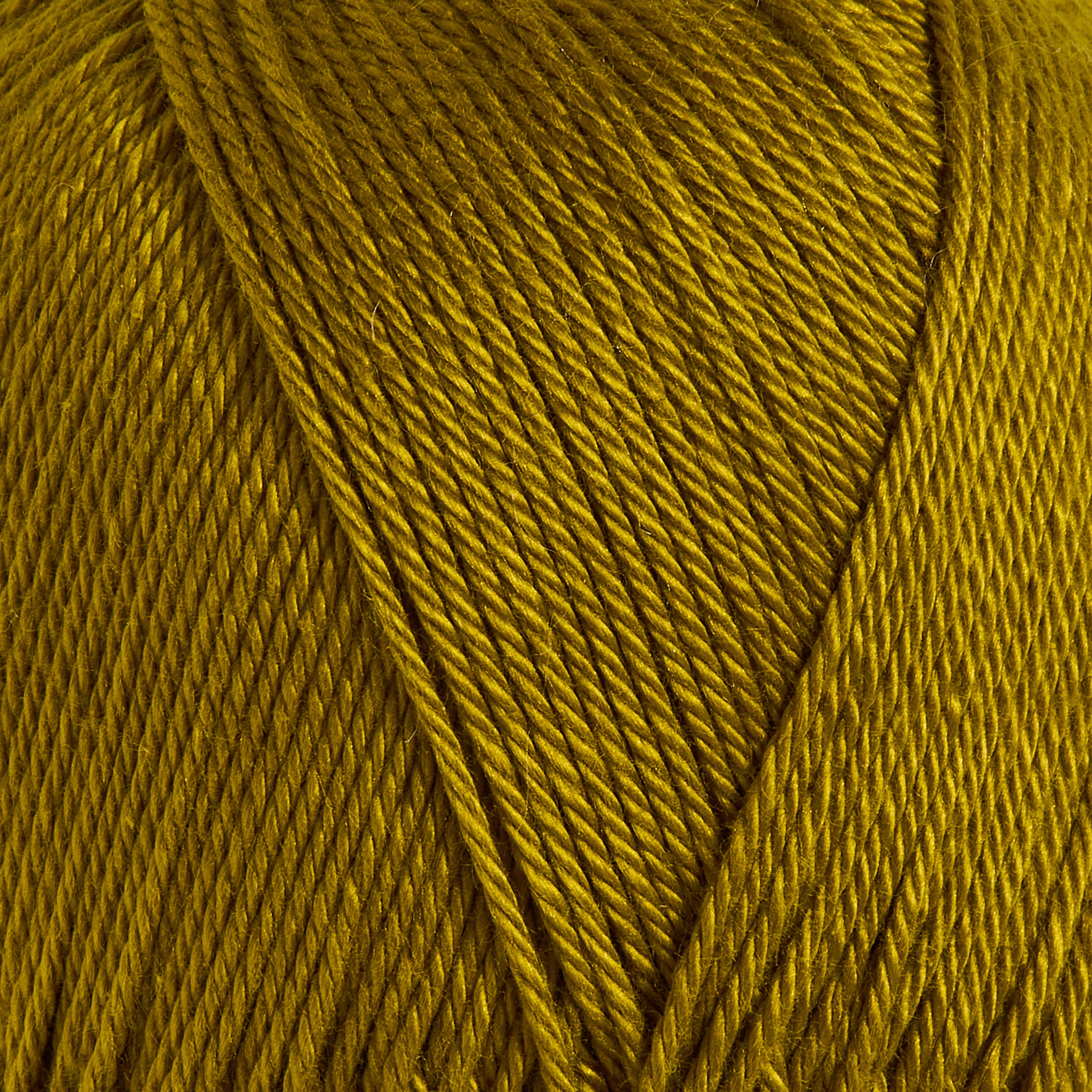 color-Mustard Gold
