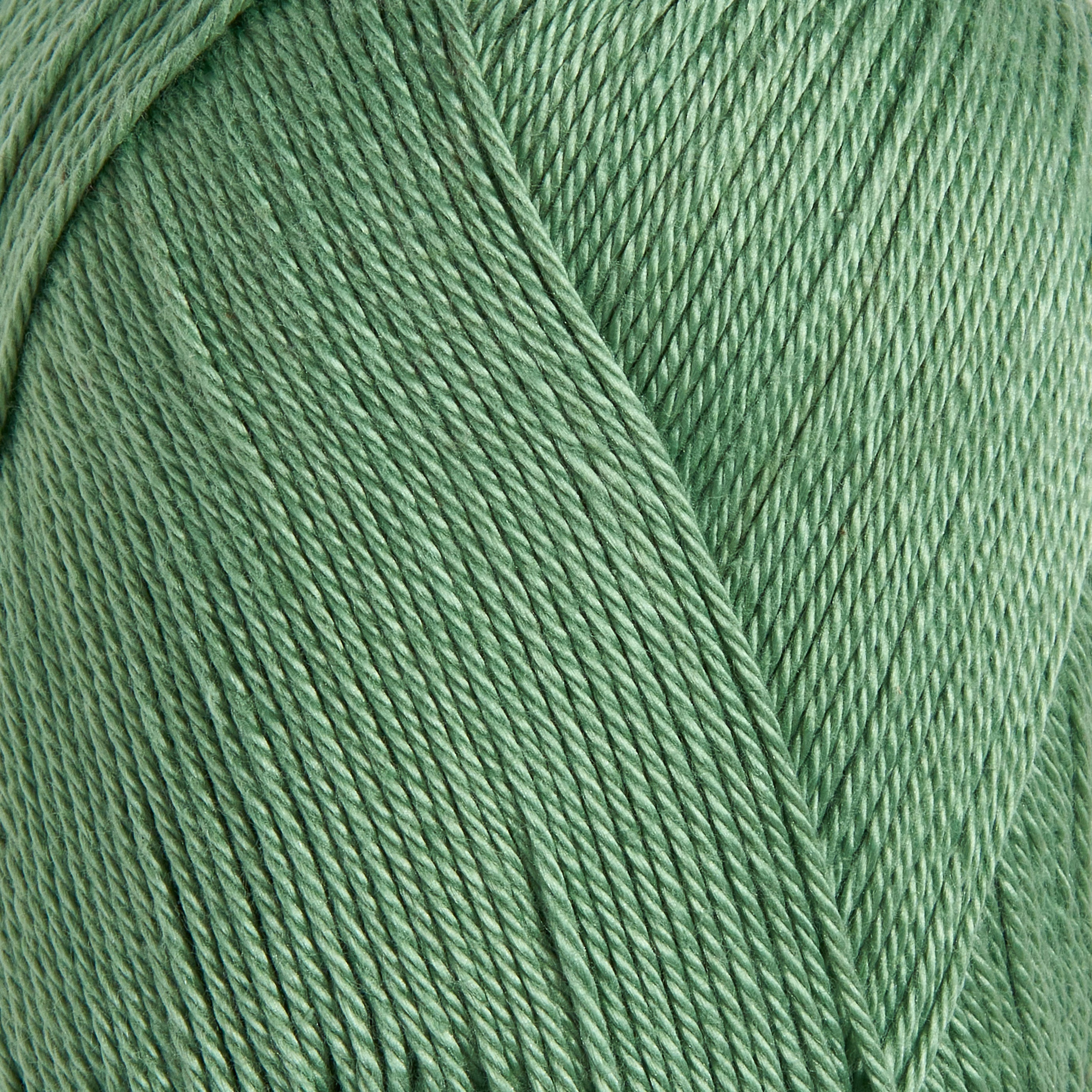 color-Sage Mint