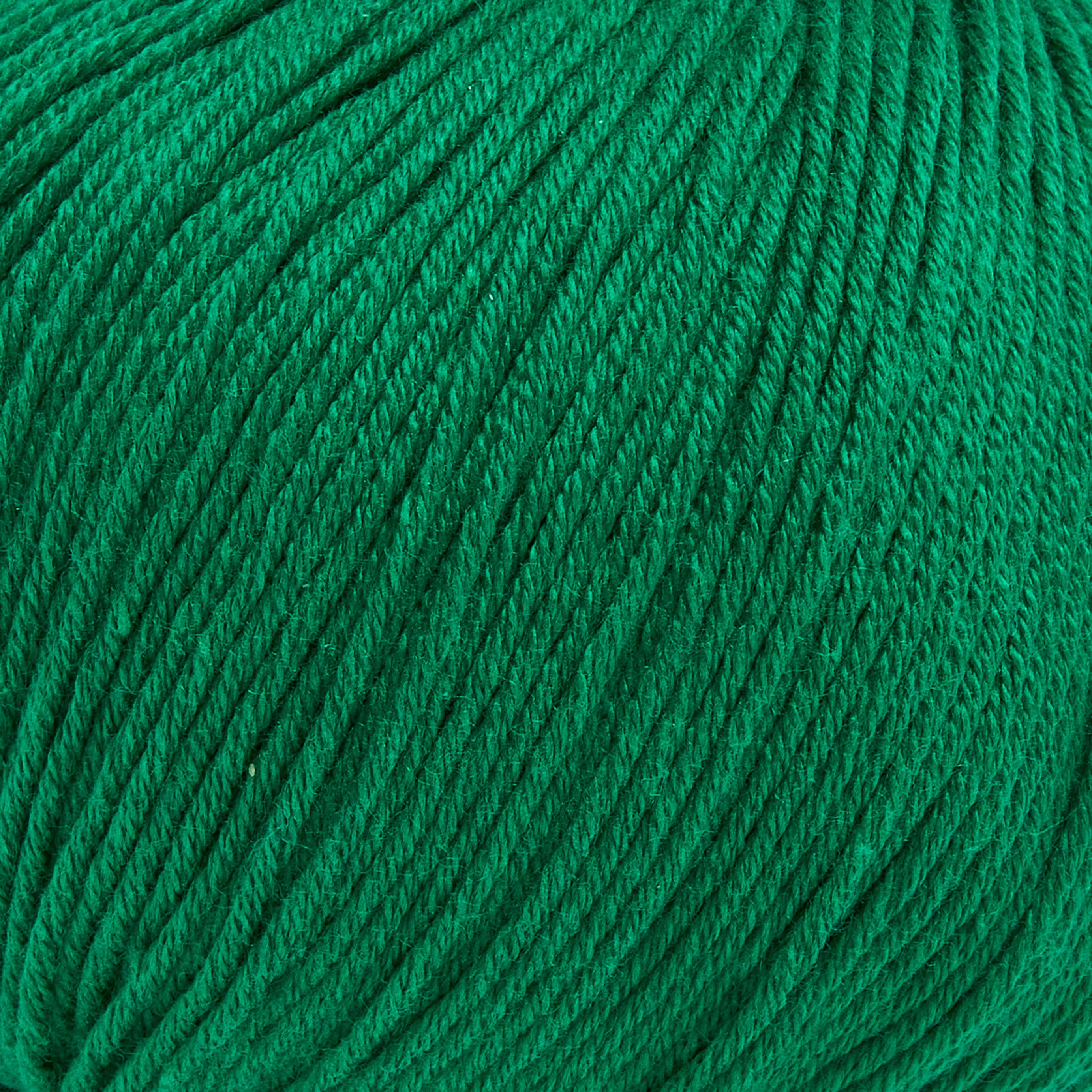 color-Dark Green