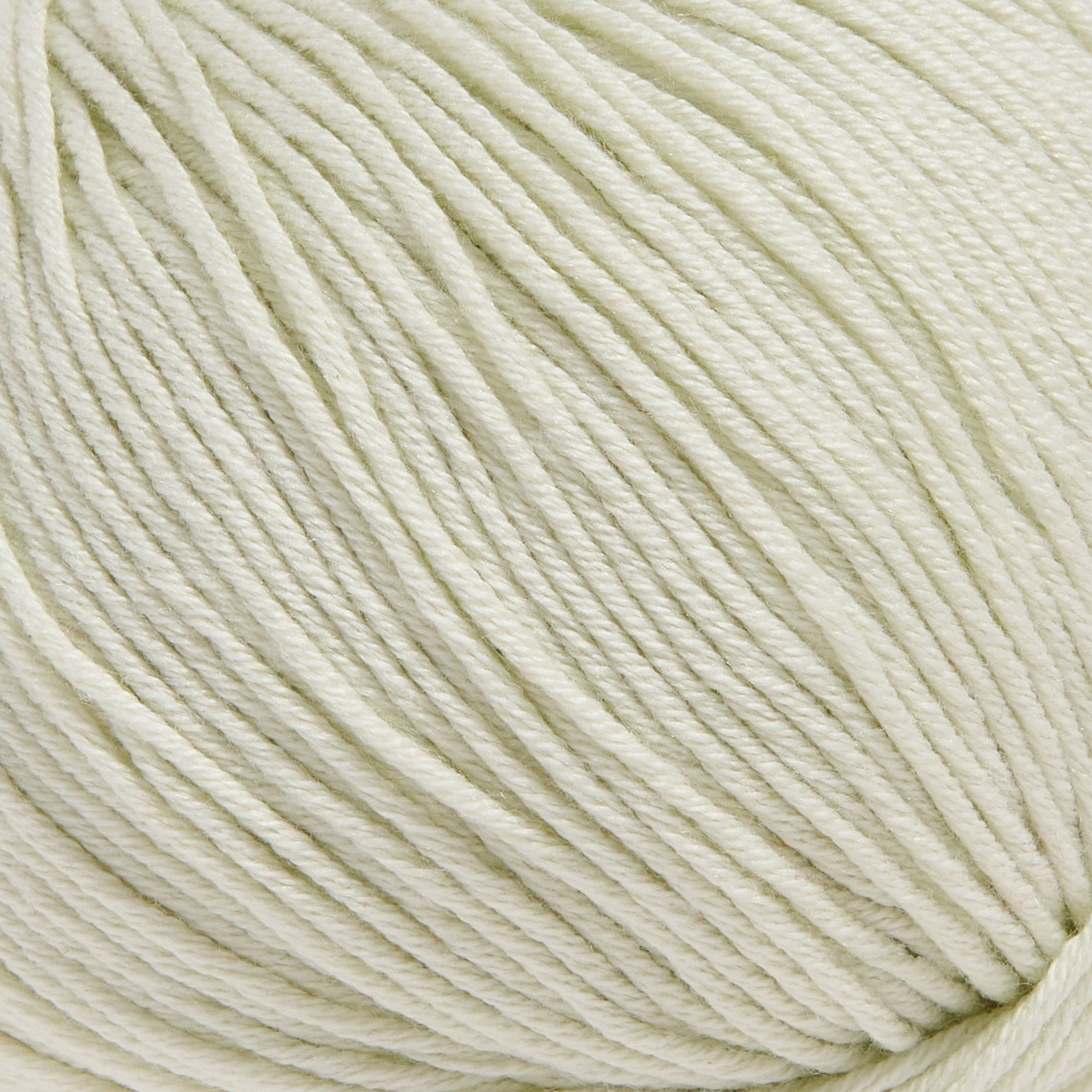 color-Bone