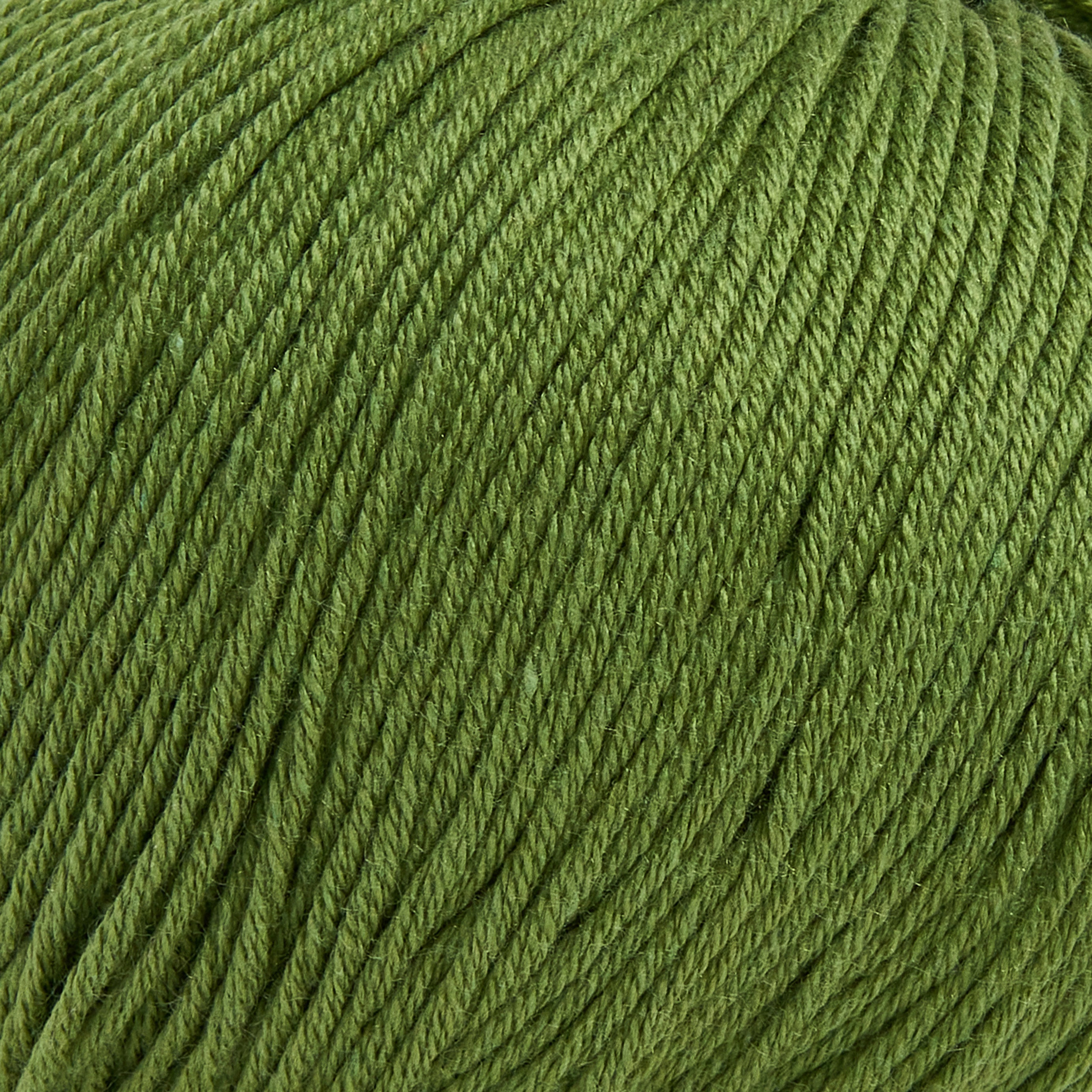 color-Olive Green