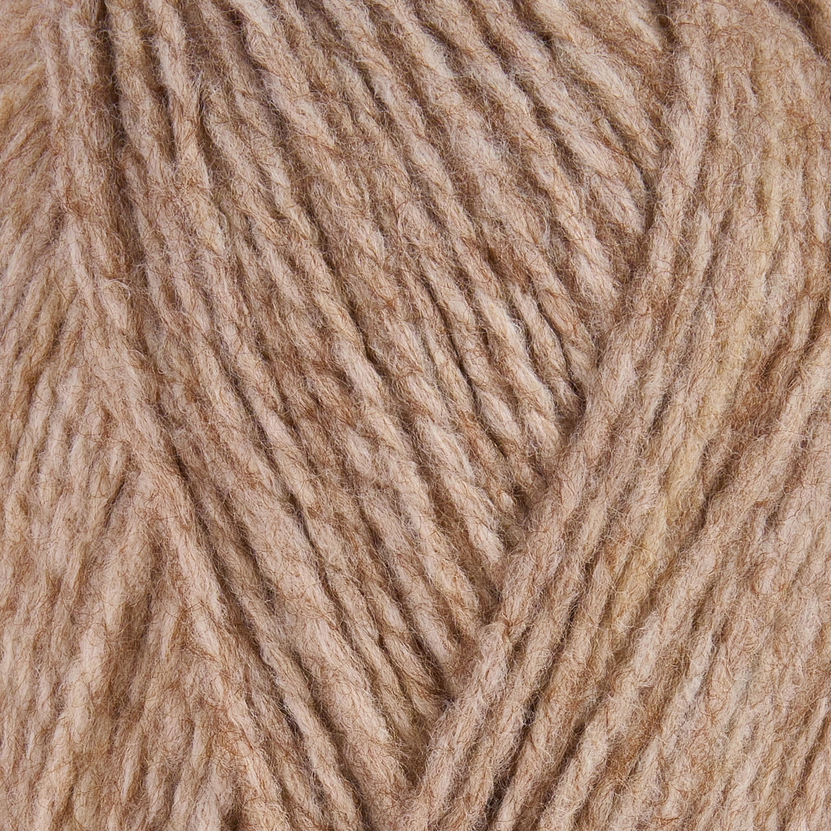color-Camel Sand