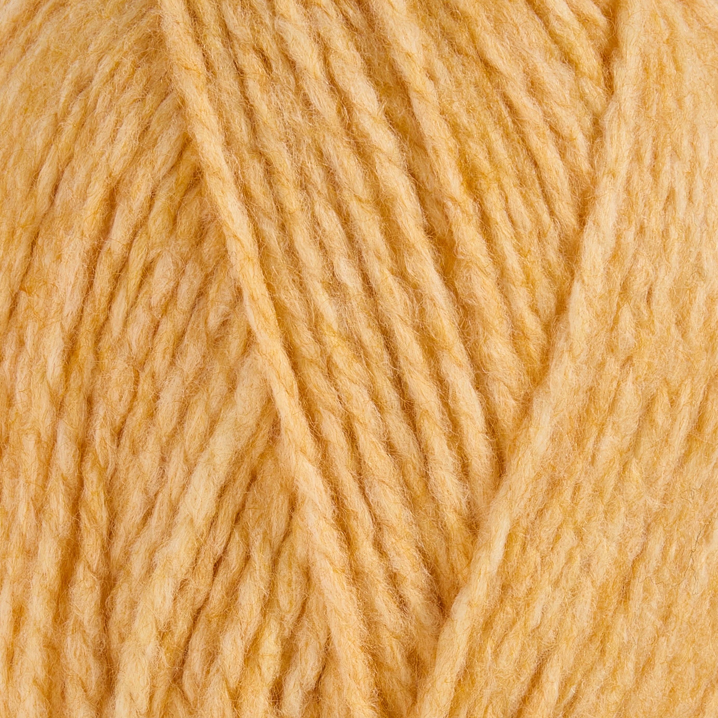 color-Sunflower Honey