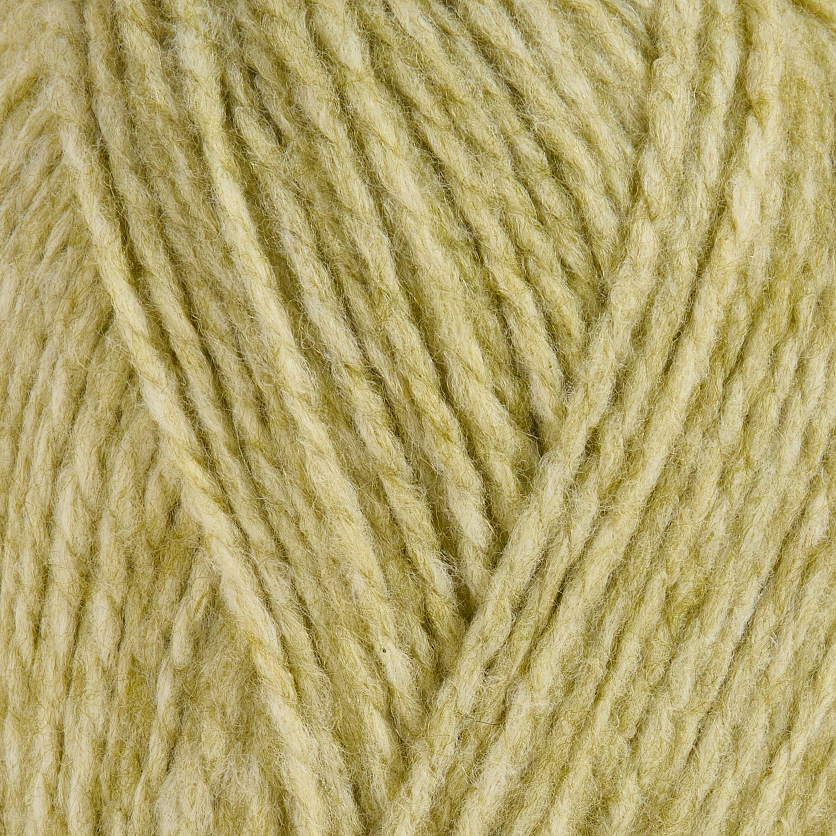 color-Olive Lime