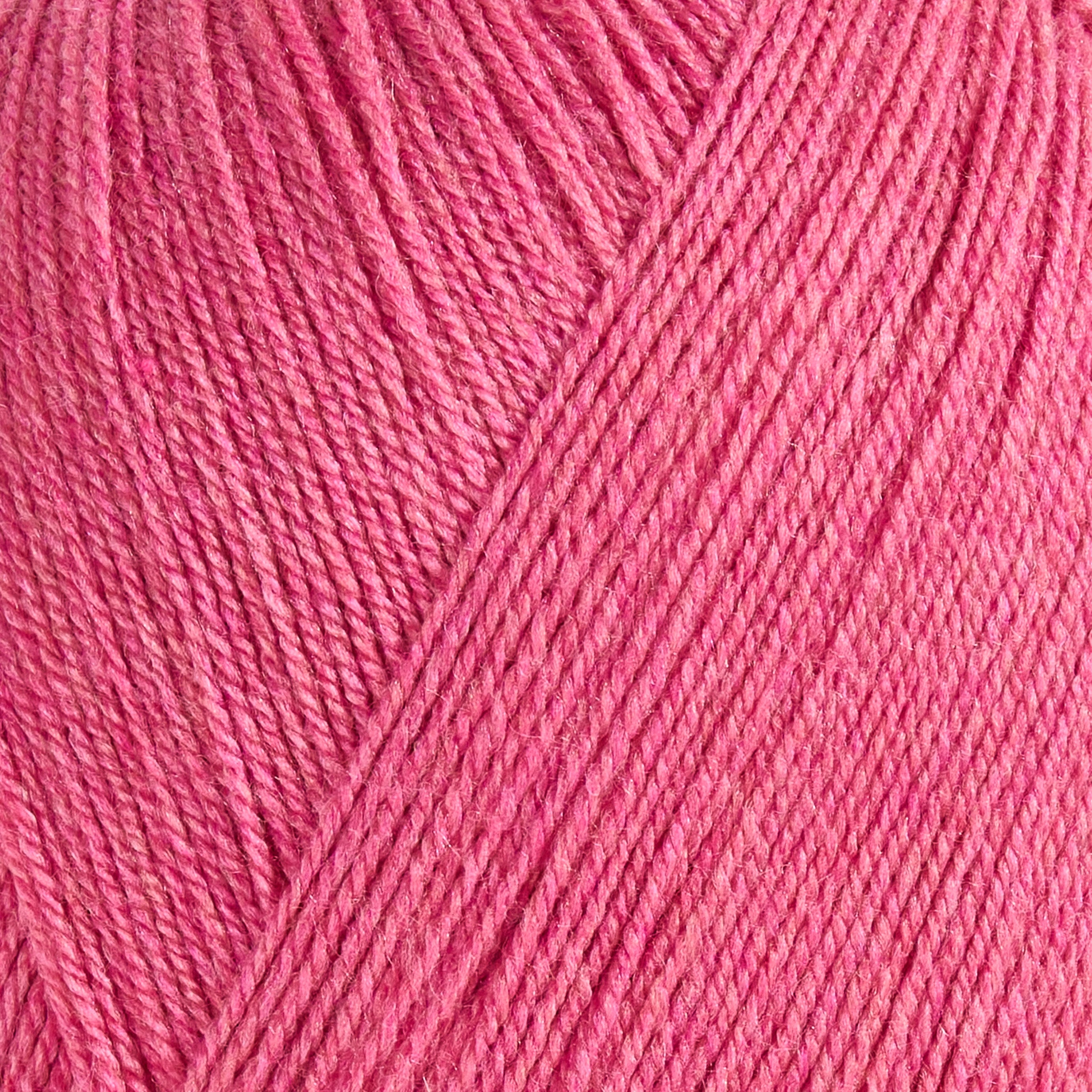 color-rose-pink